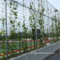 Hot Dompleed Gegalvanised Roll Top Fence BRC Fence